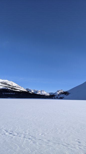 弓湖enneigé(图4)图片下载