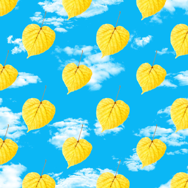黄叶无缝的图案与蓝天白云图片下载
