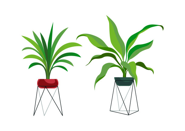 现代站室内植物。热带榕树或棕榈在花盆，植物装饰收集，花盆上金属面具，家树设置。时尚卡通平面风格的孤立插图图片下载