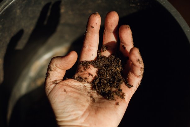 手持黑色背景的土壤图片下载