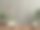 模拟混凝土墙与观赏植物和装饰项目在橱柜木制。图片下载