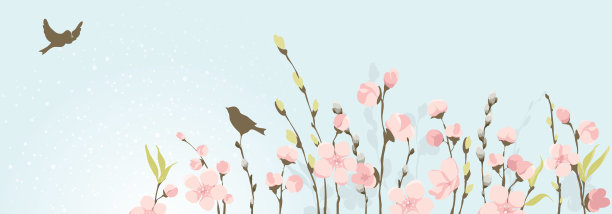 春天的旗帜。柳树和樱花。图片下载