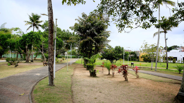 马塔德圣若昂的城市公园图片下载