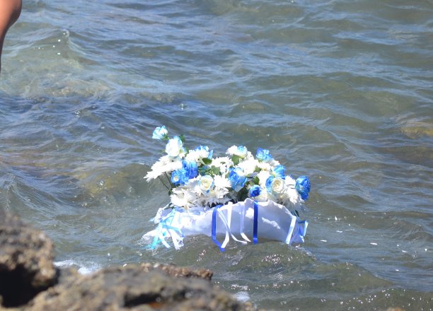 沃夫冈图片下载