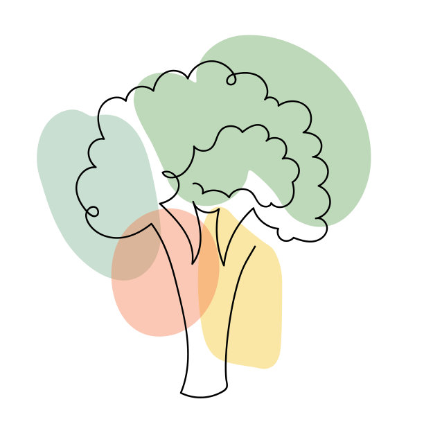 西兰花在一个手绘线形风格图片下载