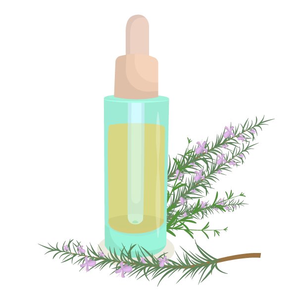 矢量插图的化妆油在一个玻璃瓶与吸管与迷迭香的小枝躺在旁边图片下载