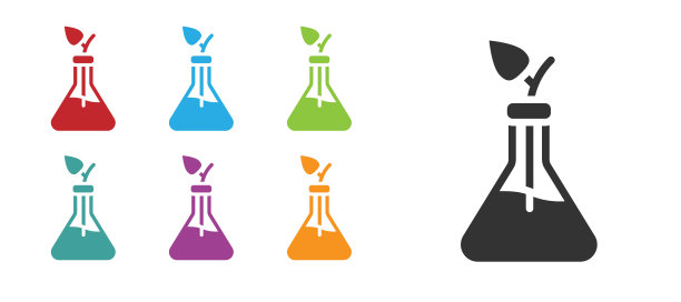 黑色植物育种图标孤立在白色背景上。试管中的植物。有机食品、农业和水培。设置图标丰富多彩。向量图片下载