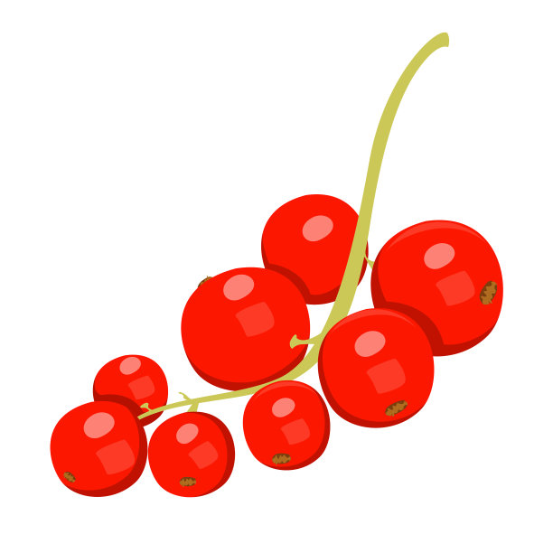 红醋栗孤立食物富含维生素图片下载