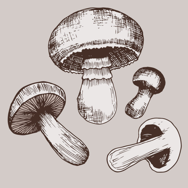 不同形状和大小的彩色蘑菇，孤立在米色背景。图片下载