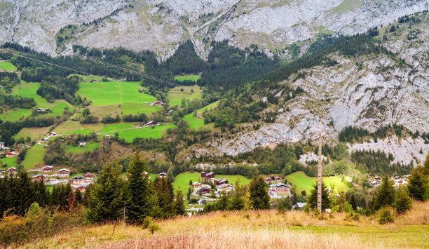 山上的树图片下载
