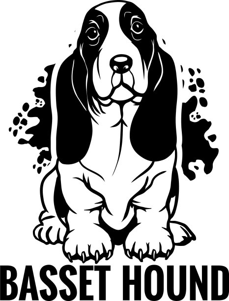 巴吉度猎犬狗快乐的脸爪子小狗小狗宠物图片下载