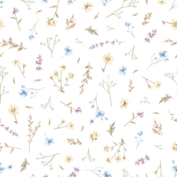水彩无缝花卉图案与草甸干花图片下载