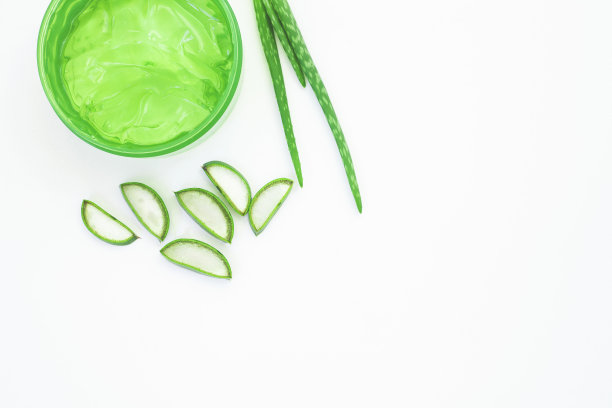 新鲜芦荟切片叶孤立在白色背景，俯视图图片下载