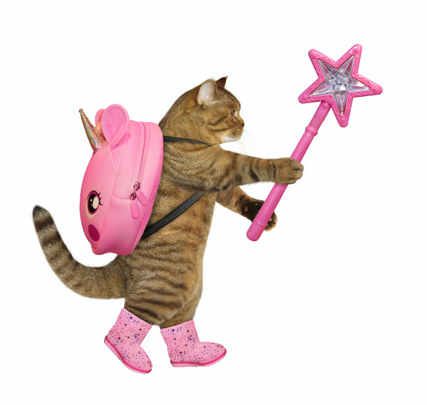 米黄色的猫用魔杖走路图片下载