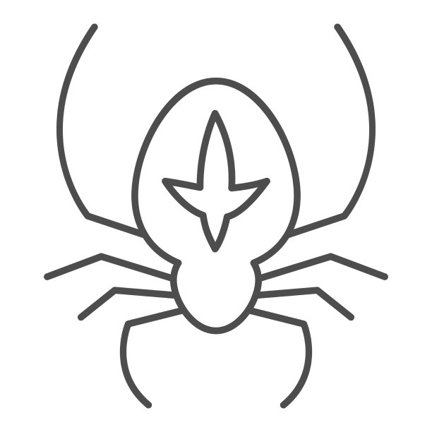 蜘蛛细线图标万圣节的概念图片下载