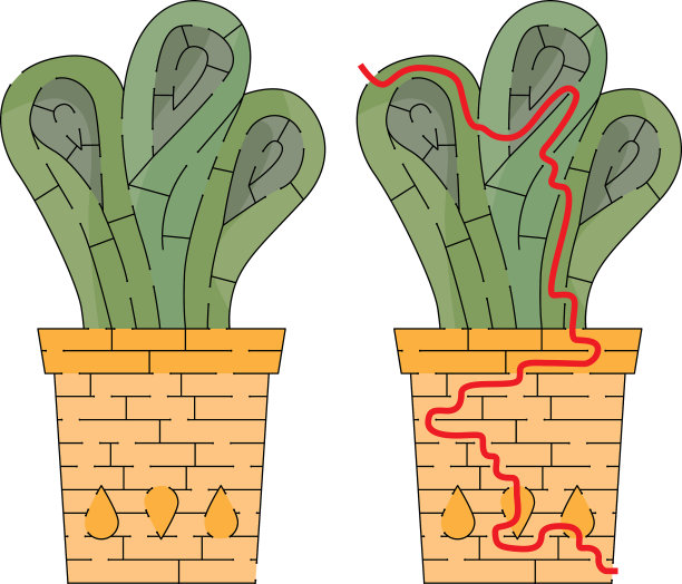 多汁的迷宫图片下载