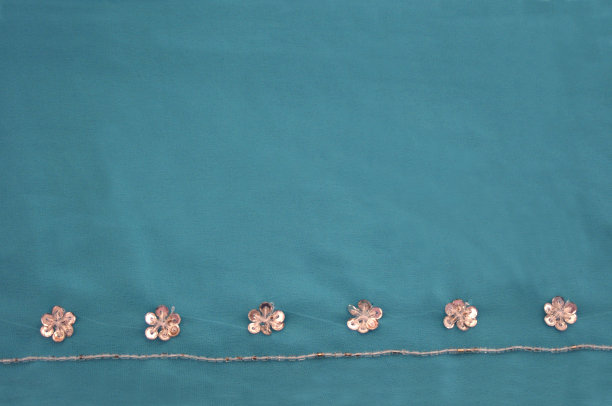 纱丽花莱茵石细节上绿松石与复制空间图片下载