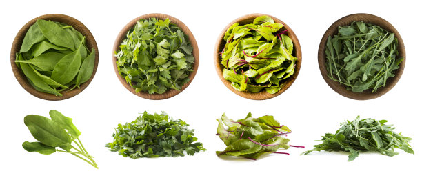 叶状蔬菜孤立在白色上。菠菜叶，欧芹，唐莴苣(甜菜叶)，芝麻菜。蔬菜与文本复制空间。前视图。工作室的照片。新鲜的叶菜分离。图片下载