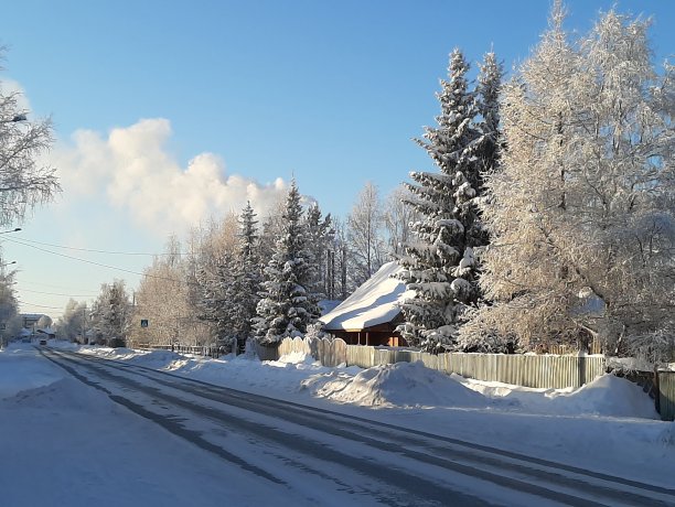 这是一个结霜的日子。房子周围有高大的云杉和白桦树图片下载