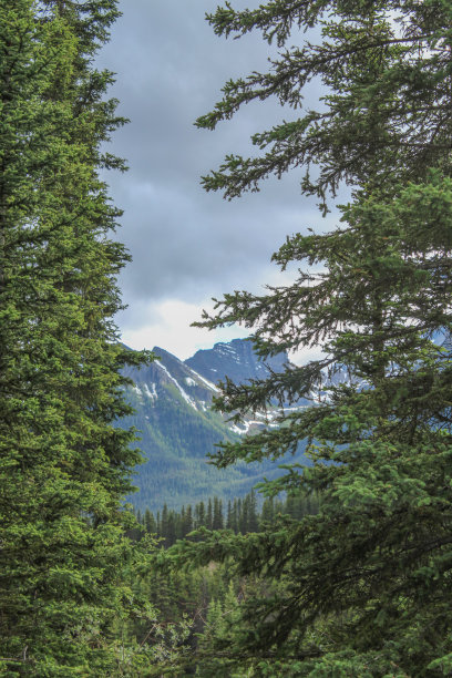 这是班夫国家公园附近的山脉和河流森林的风景图片。图片下载