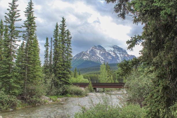 这是班夫国家公园附近的山脉和河流森林的风景图片。图片下载