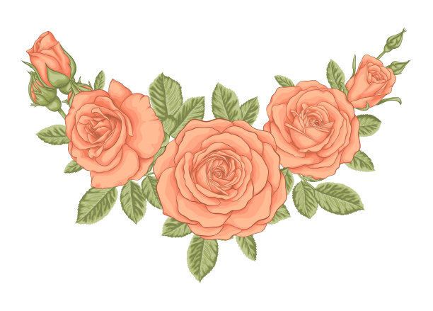 美丽的花束与橙子玫瑰和图片下载