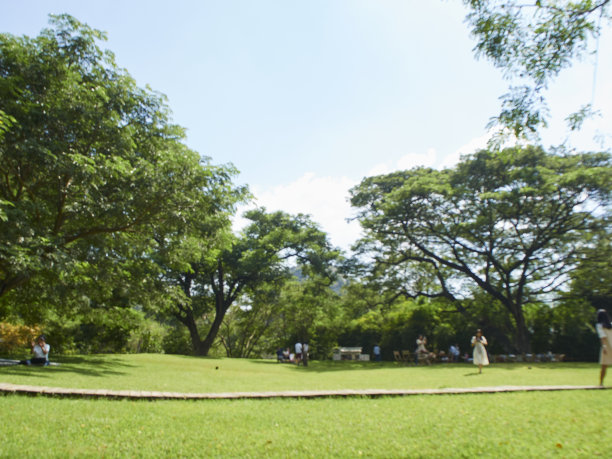 模糊的公园背景，人们坐着放松。图片下载