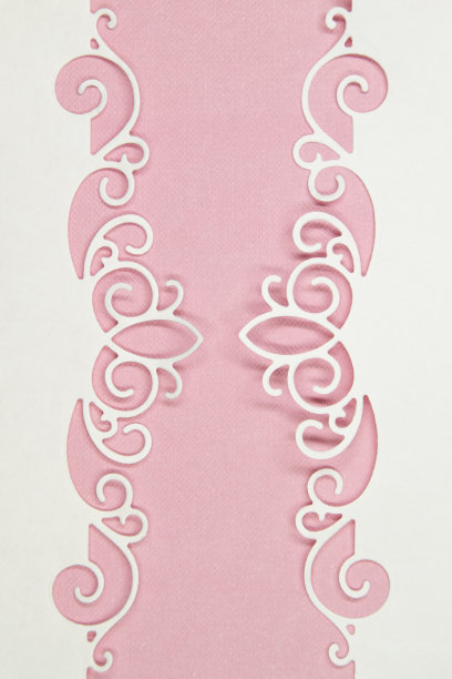 粉红色背景上的花框架图片下载