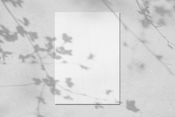 空白色垂直矩形海报模型与叶和花的阴影图片下载