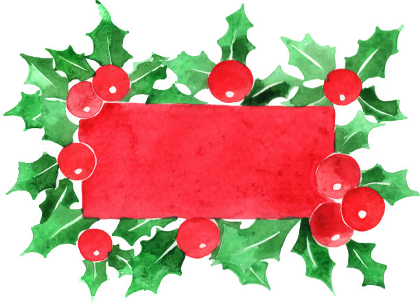 冬青叶和红莓植物框架与板图片下载