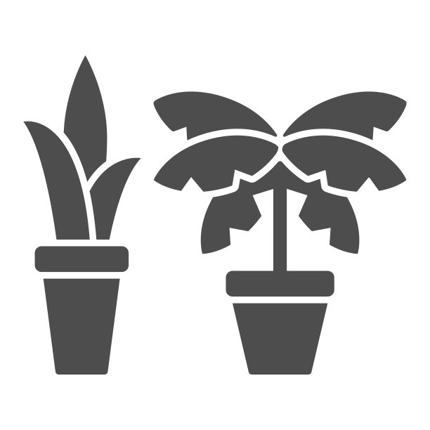 家庭或办公室热带植物固体图标房间图片下载