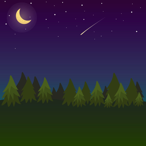 晚上森林。图片下载