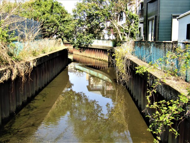 日本。3月。城市里美丽的小运河。图片下载