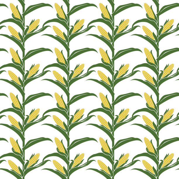 玉米无缝图案图片下载