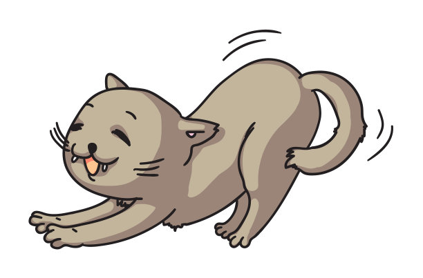 猫伸展孤立在白色的背景图片下载