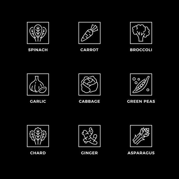 为健康蔬菜设置图标和徽章图片下载