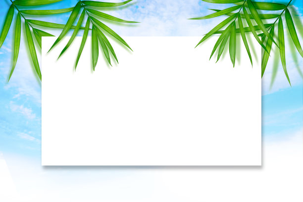 春天和夏天明亮清新的背景图片下载