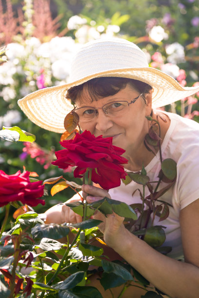 积极微笑的妇女闻到美丽的红色玫瑰在一个夏天的花园图片下载