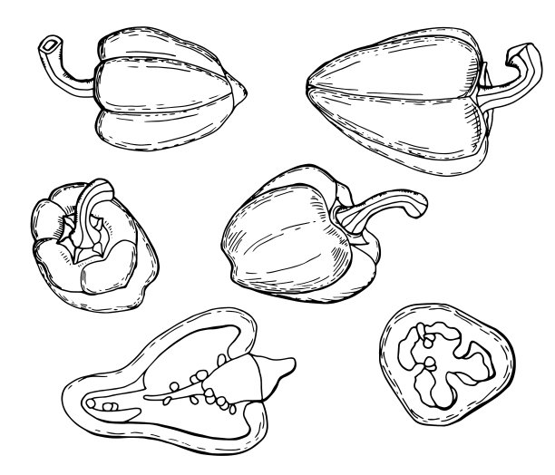 线形灯笼椒图片下载