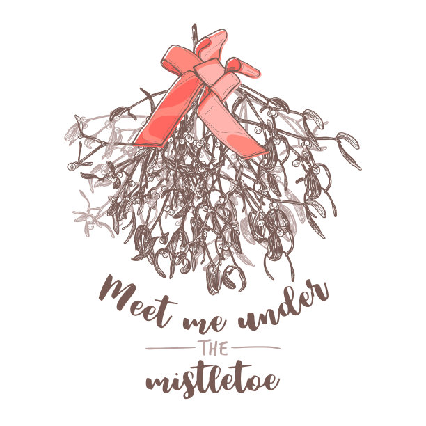 圣诞常绿花卉装饰图片下载