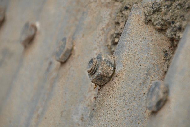 生锈的坚果图片下载