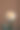 孤立的女性手牵玫瑰的照片。美丽的粉彩玫瑰与棕色背景。图片下载
