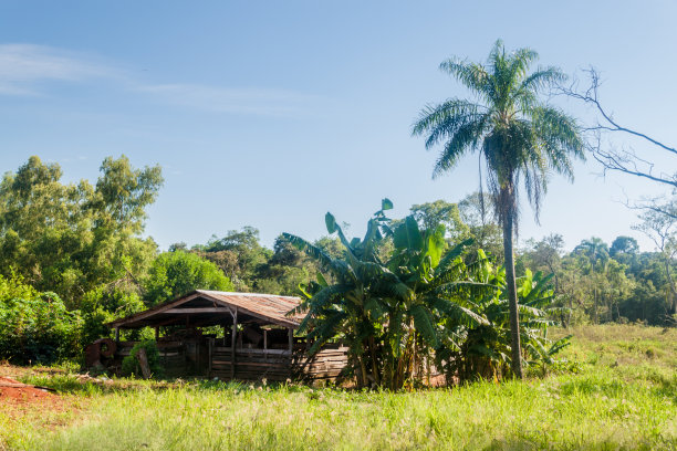 小乡村房子附近的Coronel Bogado镇，巴拉圭图片下载