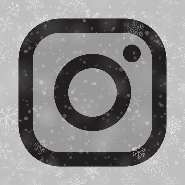 带有雪花的Instagram标志图标图片下载