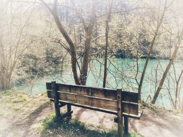 在一个湖前面的河岸图片下载