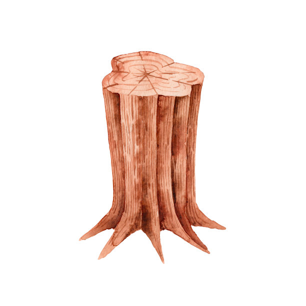 水彩手绘树桩孤立的白色背景。对森林的适应。露营。图片下载