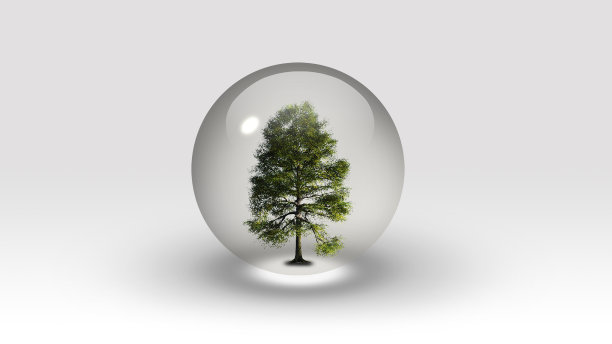 树里面的泡沫图片下载