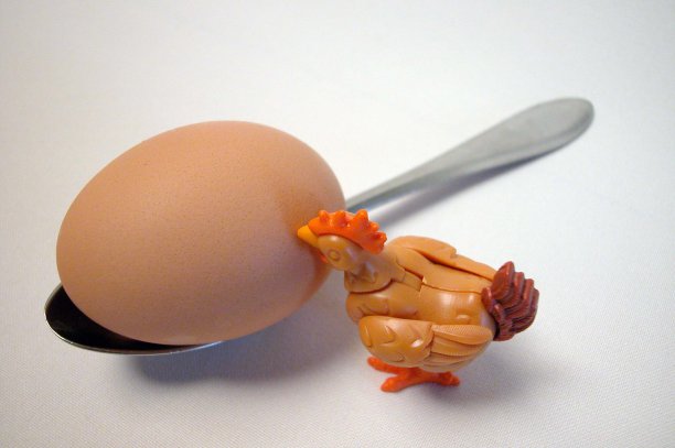 鸡蛋，鸡的天然产物图片下载