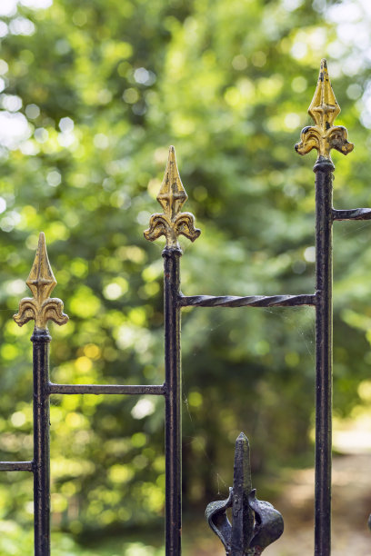 一个私人车道上的铁栅栏的近景，后面有绿色的植被。图片下载