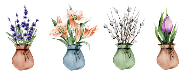 一套水彩植物。花盆里有春天的花，熏衣草，百合，郁金香。适用于贴纸、明信片等图片下载